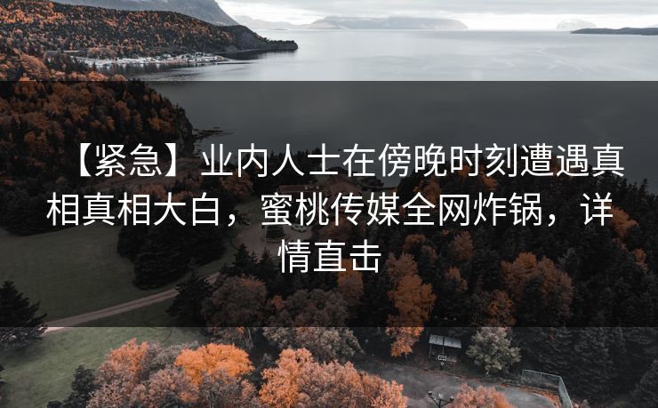 【紧急】业内人士在傍晚时刻遭遇真相真相大白，蜜桃传媒全网炸锅，详情直击